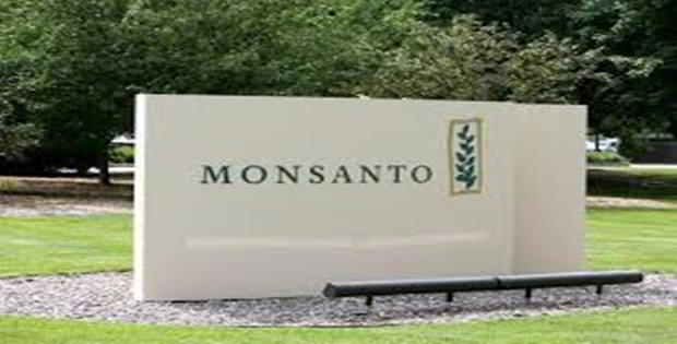 Monsanto lanza nueva variedad de semilla Intacta