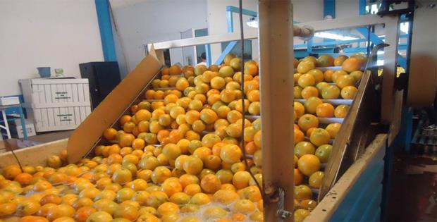 Fábrica de jugos entrerriana comenzó a exportar productos a Sudáfrica y Dinamarca