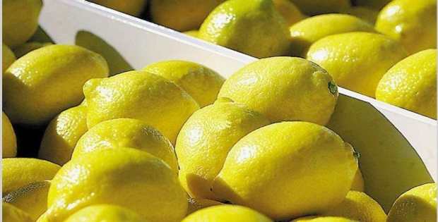 La Argentina exportará limones a la República Popular China