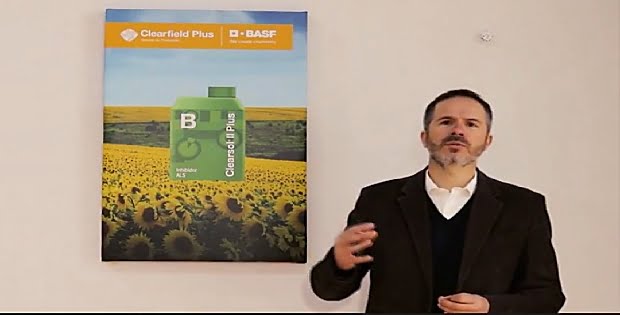 El arte de hacer girasol: BASF lanza el nuevo herbicida Clearsol® II Plus