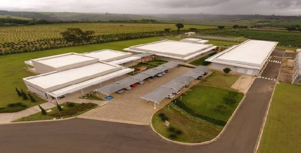 Llega Sumitomo Chemical a la Argentina . Una empresa líder en soluciones híbridas para la agricultura