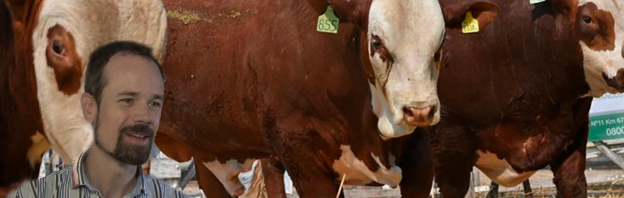 » Determinar el status de los rodeos bovinos es vital en lo comercial y sanitario para la ganadería»