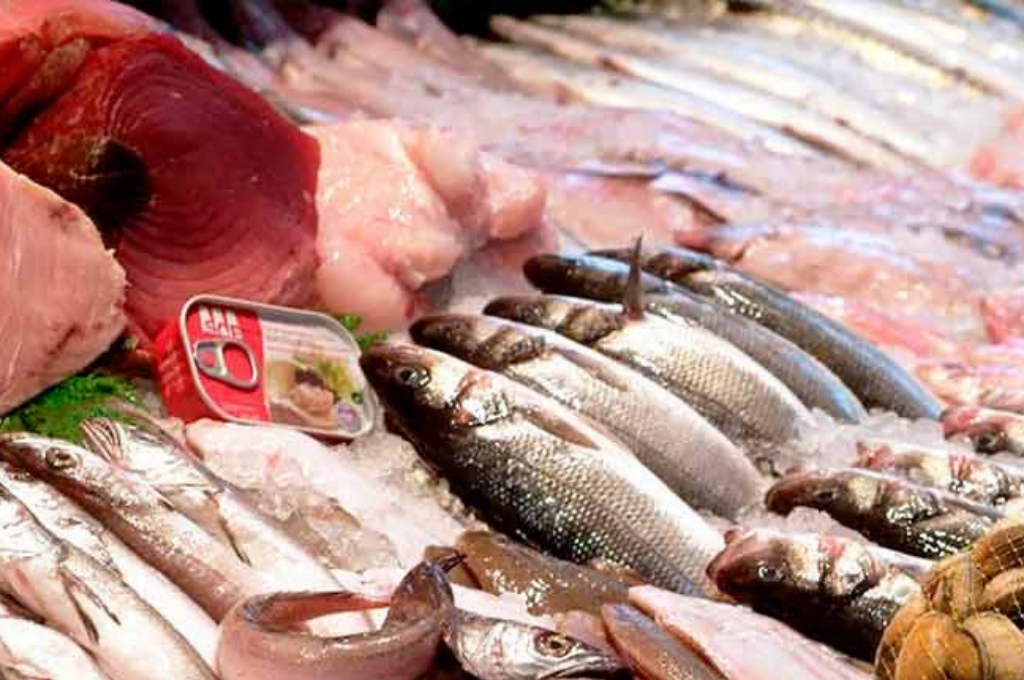 » Rarezas argentinas: un litoral marítimo extenso y bajo consumo de pescados «