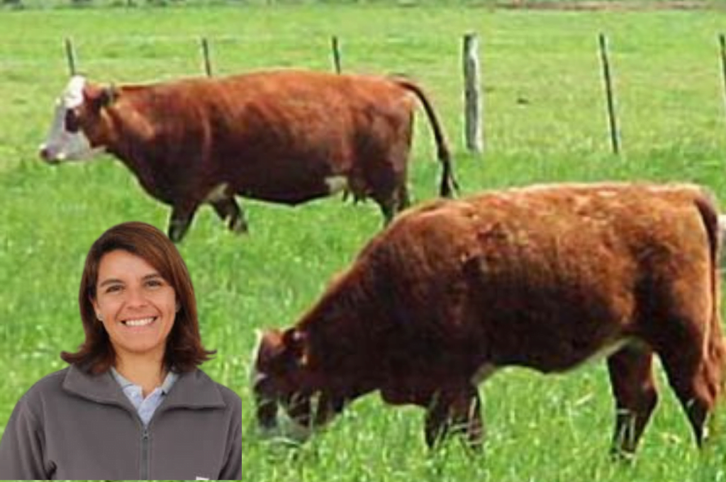 » Manejo del recurso forrajero en campo natural»