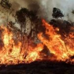 Día Mundial de la Prevención de Incendios Forestales, vivir en la naturaleza también nos compromete a cuidarla