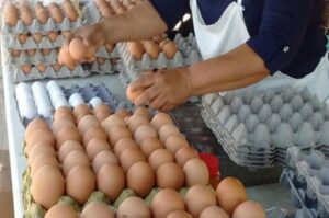El huevo, segundo alimento más importante en la dieta de los argentinos