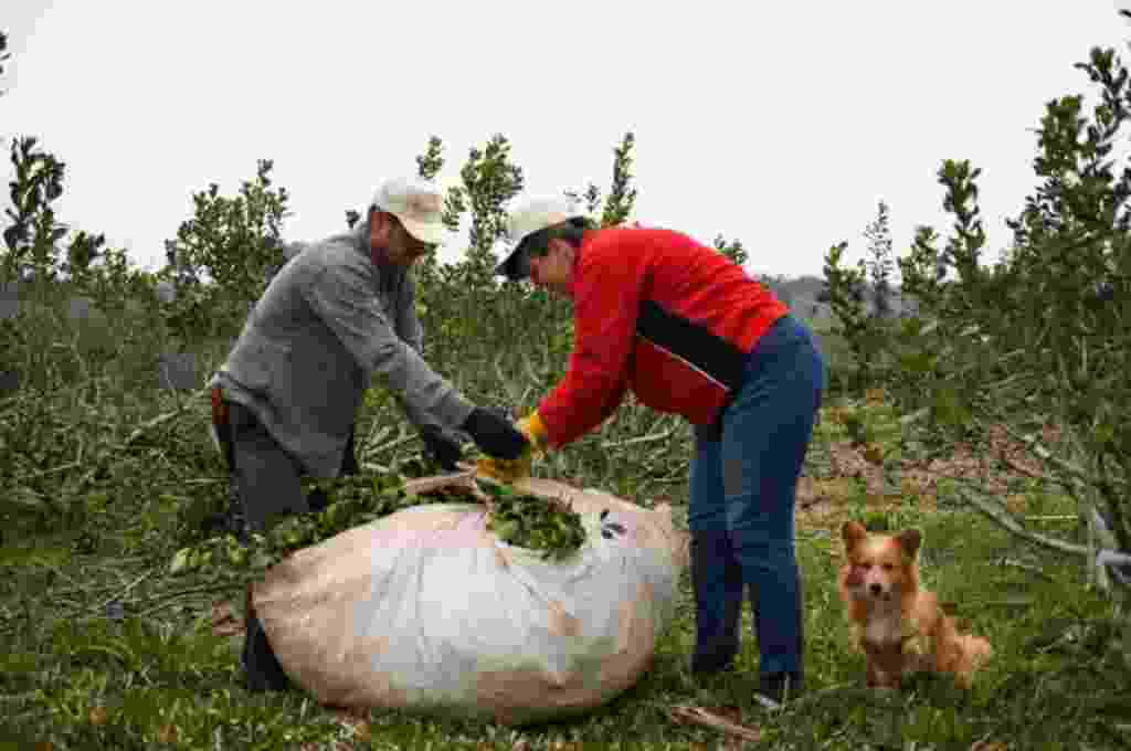 El RENATRE comenzó a pagar las más de 800 prestaciones extraordinarias para trabajadores rurales afectados por los incendios y la sequía