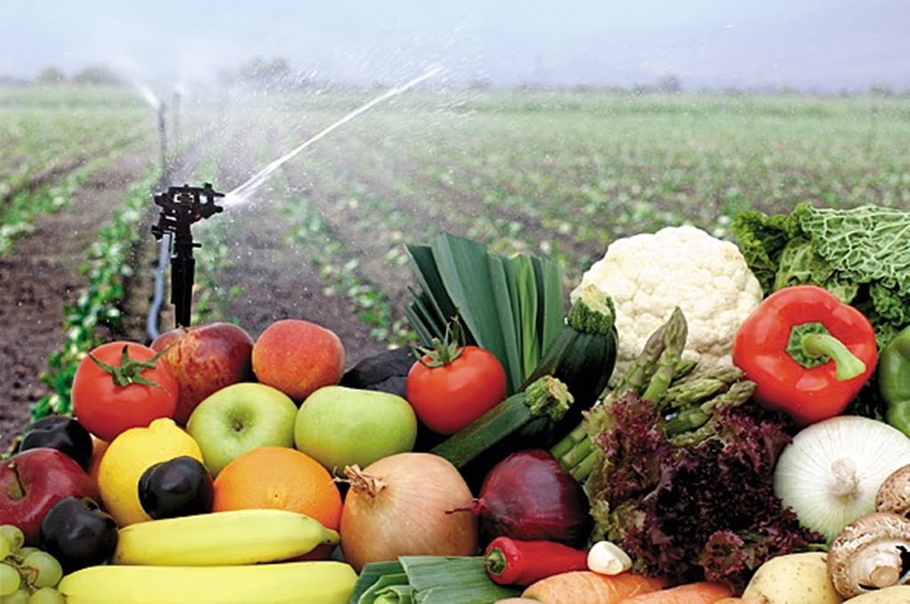 Prospera el mercado de vinos. Inquietud en productores de frutas y hortalizas