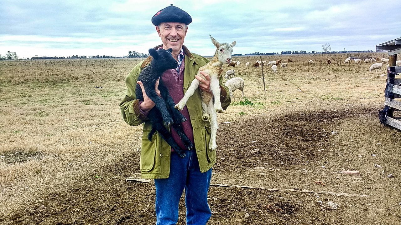 Tambo y fábrica de quesos ovinos