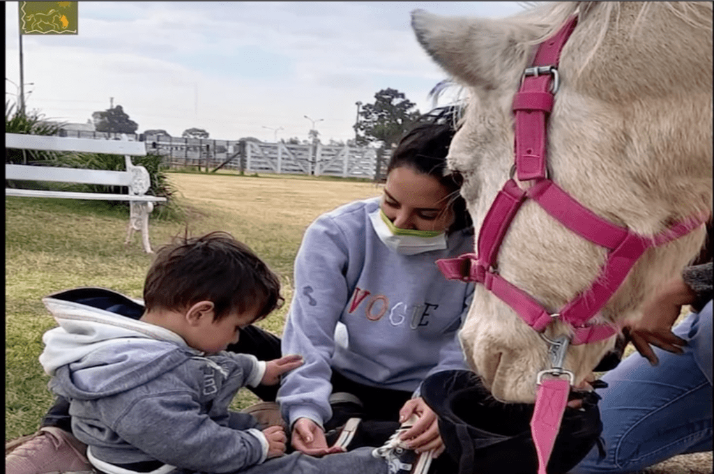 Centro de Terapia Asistida con caballos
