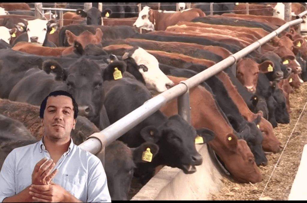 Balance y perspectivas de la ganadería argentina