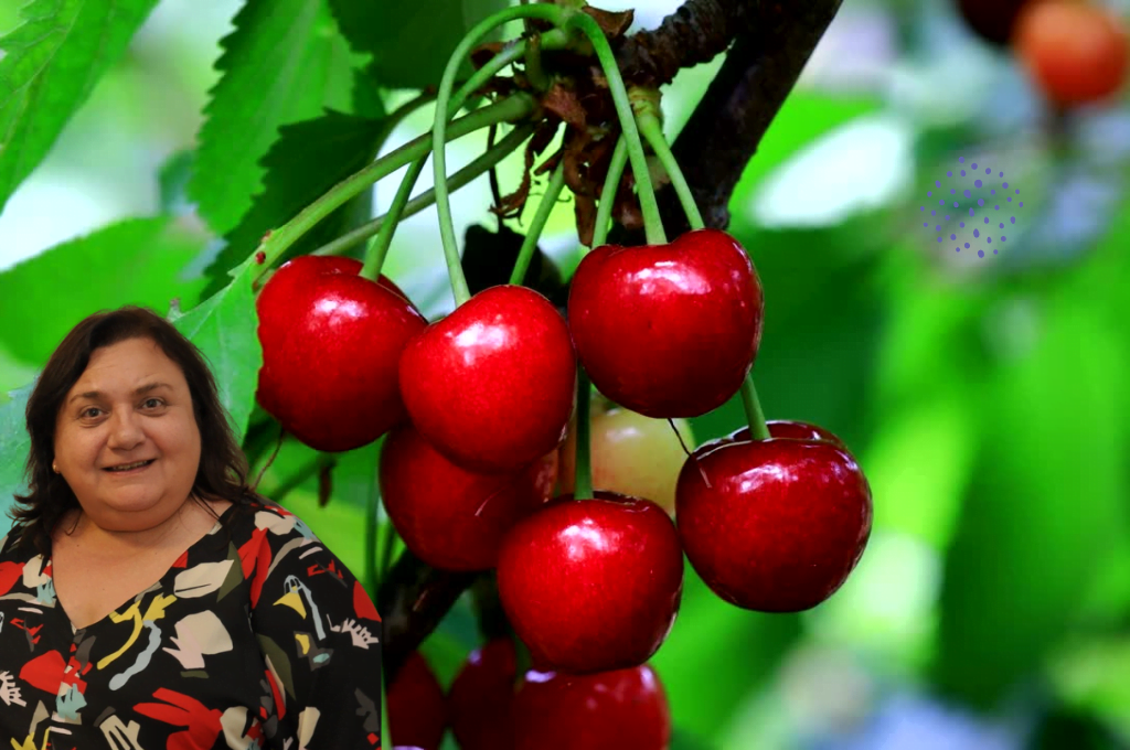 «Cerezas y arándanos las llaves que abren el consumo del mundo»