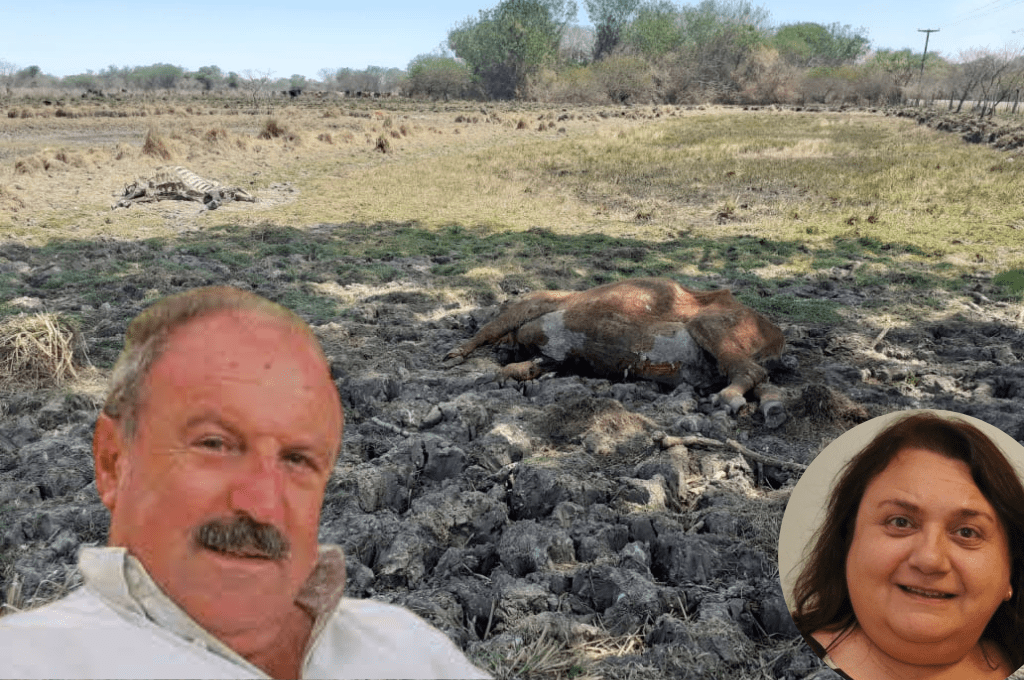 » Con esta seca sufre toda la familia, como sufren los animales y los cultivos»