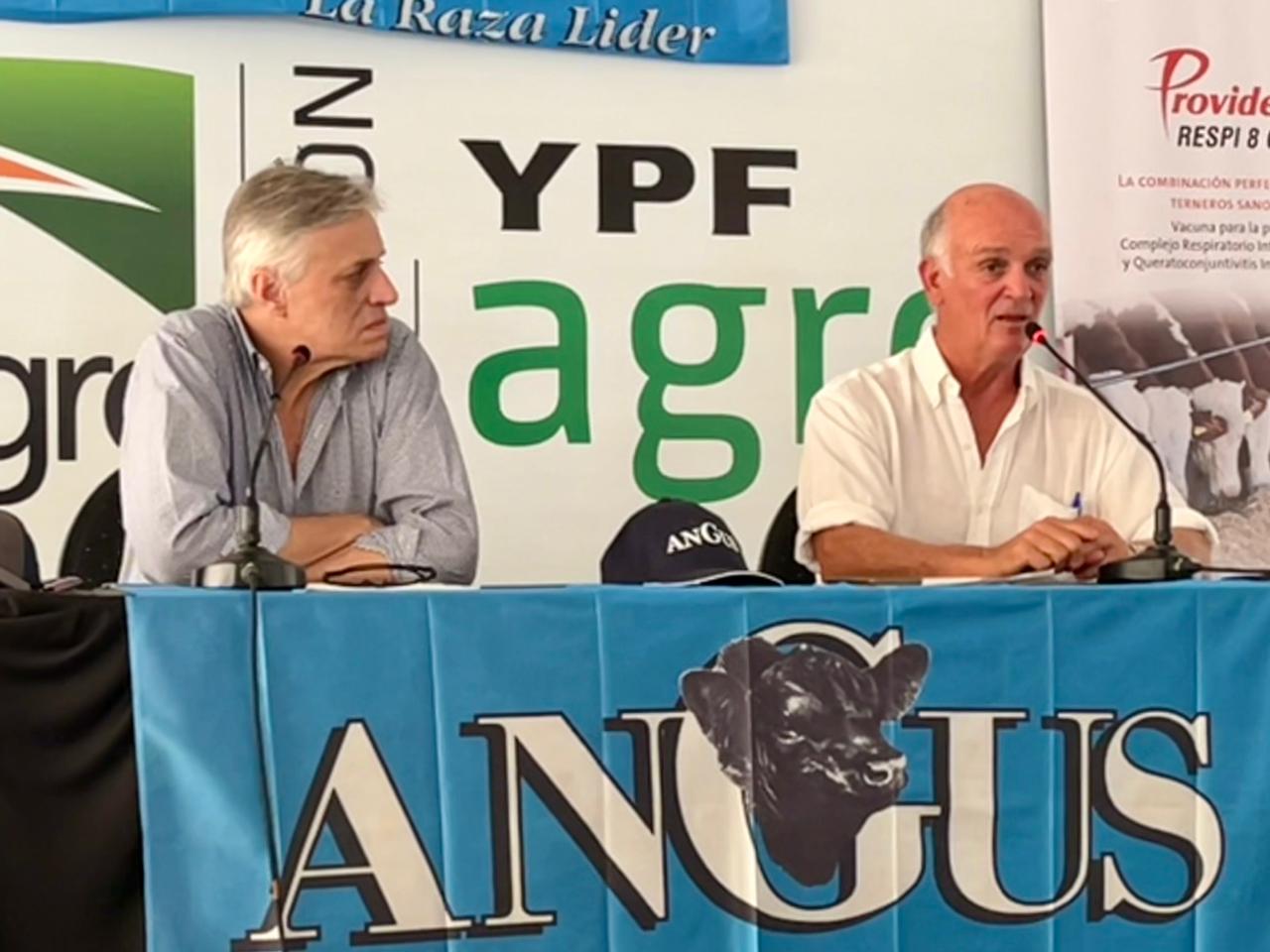 Angus: Herramientas para seleccionar animales con mayor docilidad y producir mejor