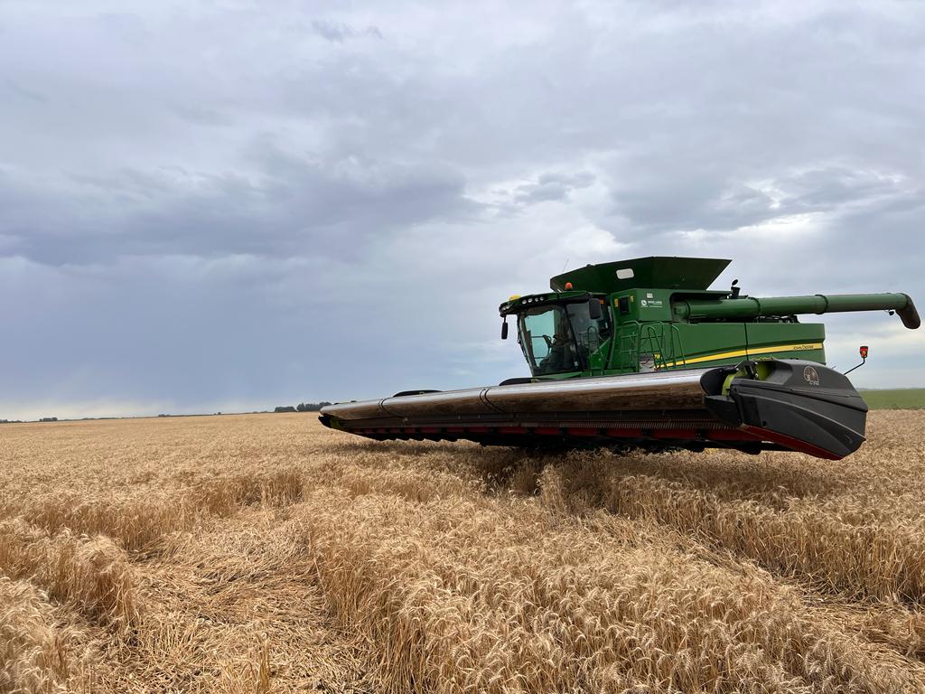 Presentaron en Expoagro el cabezal desgranador G-FAS