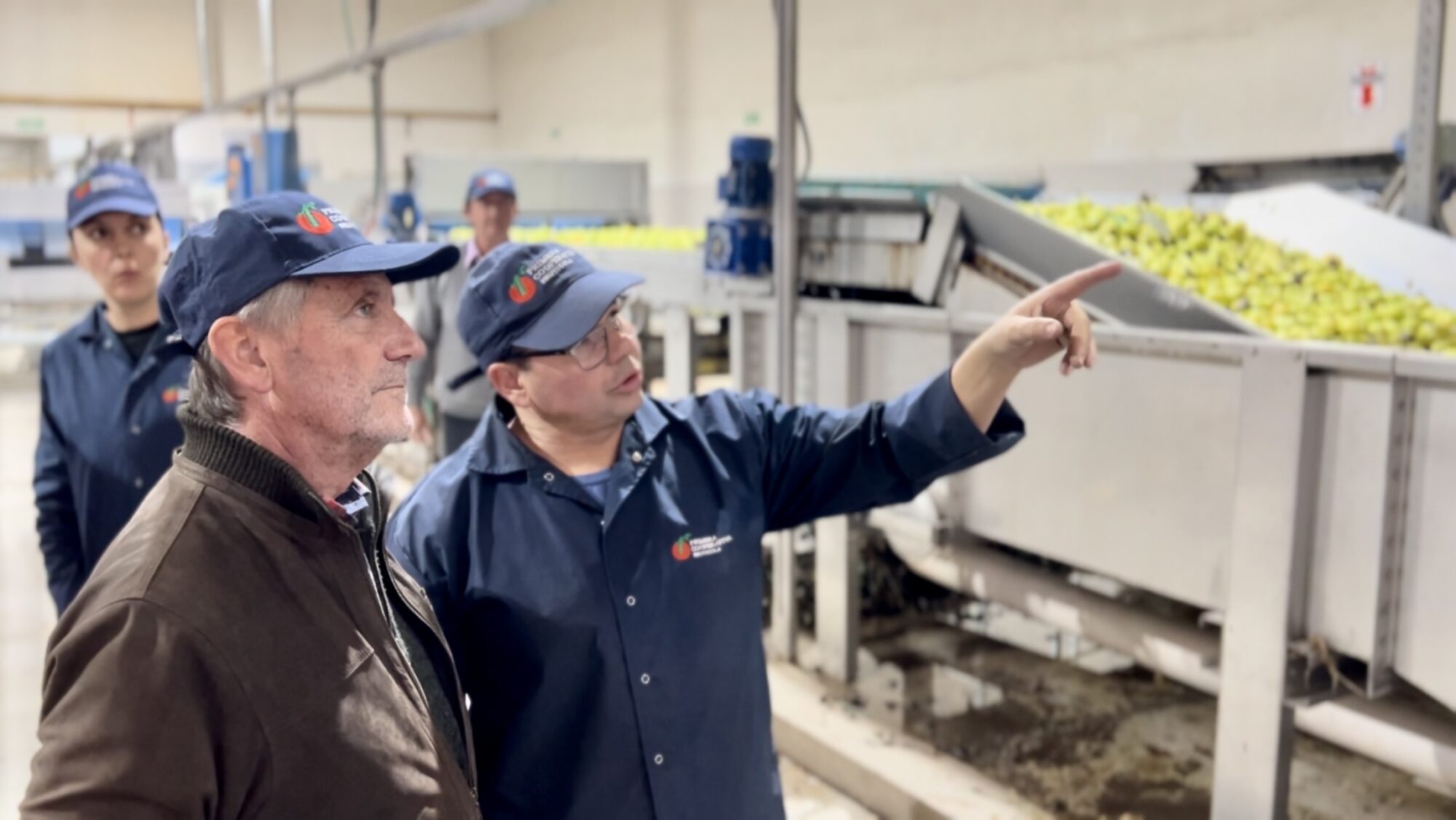 “El sector cooperativo es vanguardista en certificaciones para los nuevos mercados que demandan trazabilidad en alimentos”
