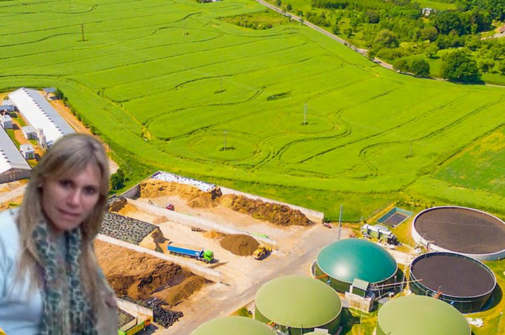 » Impulsan programa de bioenergía en municipios»