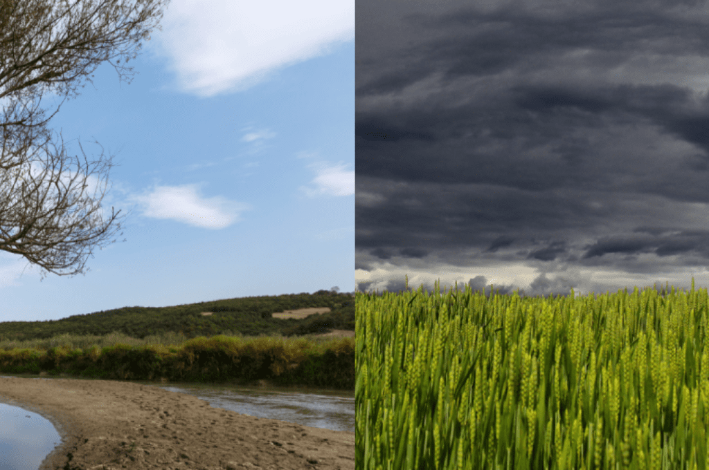 El Niño y La Niña: Claves para comprender la variabilidad climática en Argentina