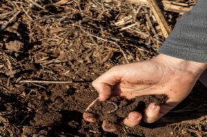 La Federación Nacional de Productores de Papas reclama una política de Estado para cuidar el suelo con los productores adentro