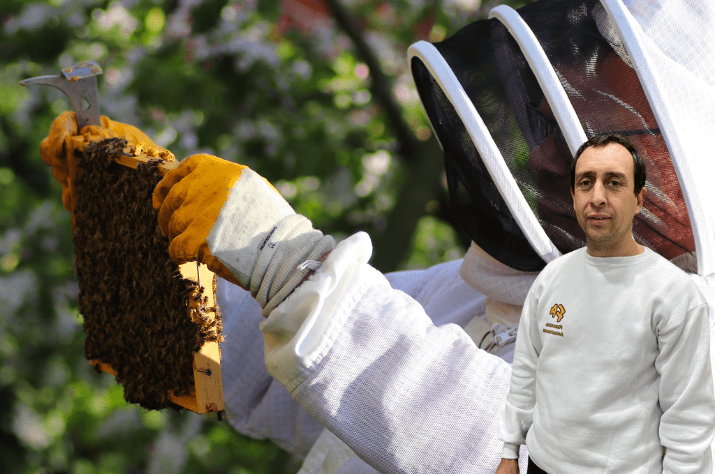 » Miel en alza, Argentina segunda exportadora mundial «