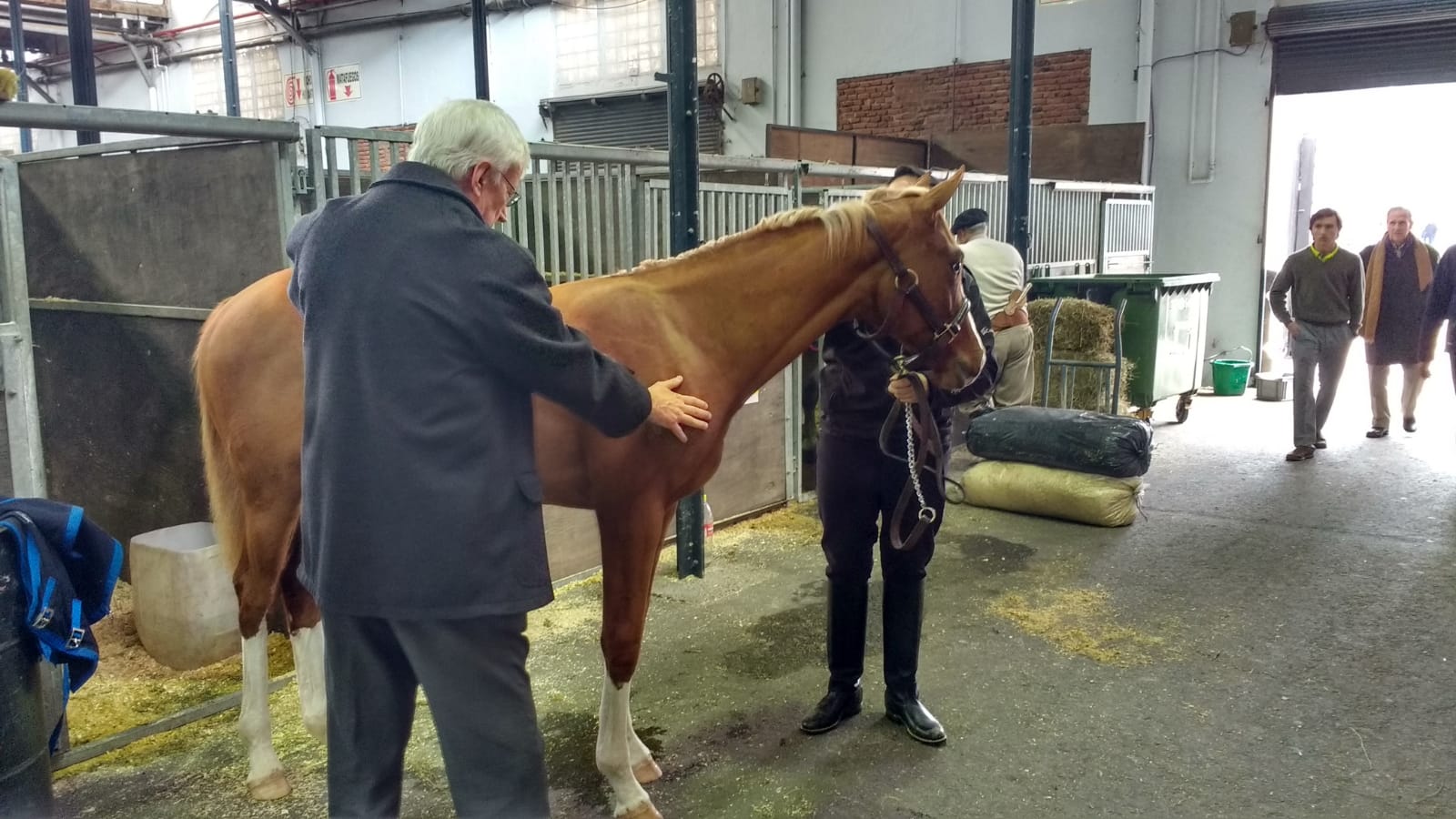 » Hablemos de caballos : los secretos de una buena alimentación «