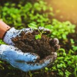 Nutrir el suelo podría generar empleo para una ciudad entera como Pinamar