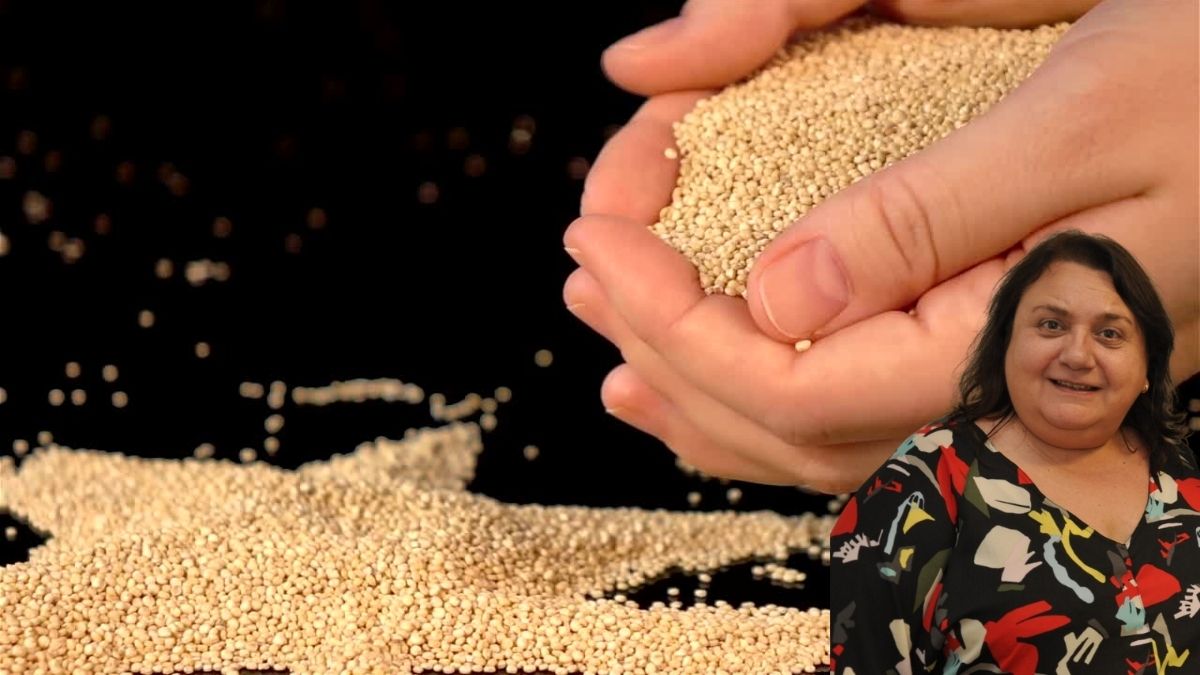 Quinoa : el supercereal todo terreno