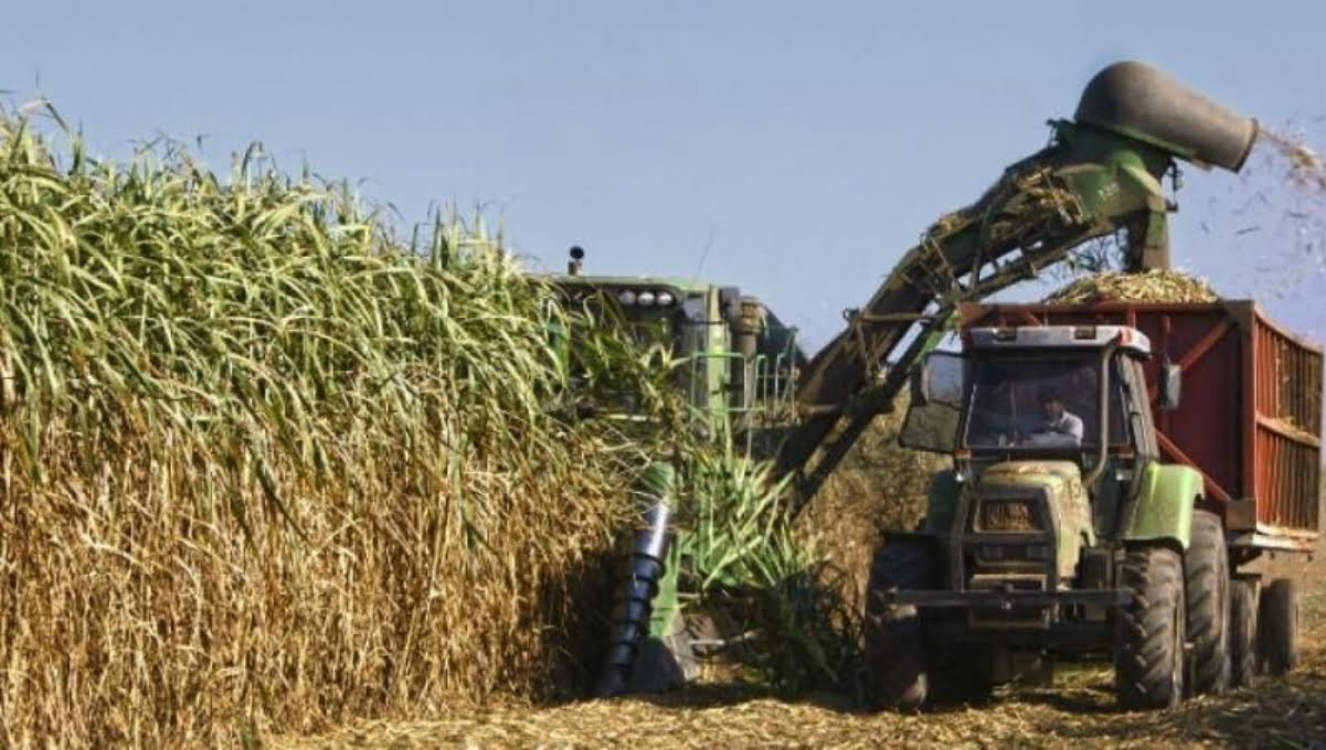 Concluyó la zafra azucarera en Tucumán con un balance positivo