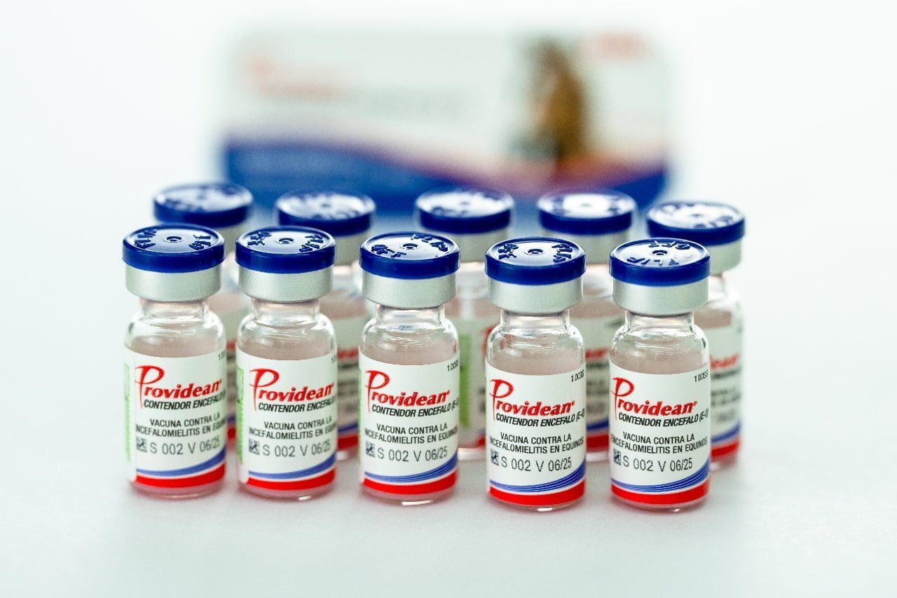 Tecnovax aprobó más de un millón cien mil dosis de vacunas contra la encefalomielitis equina
