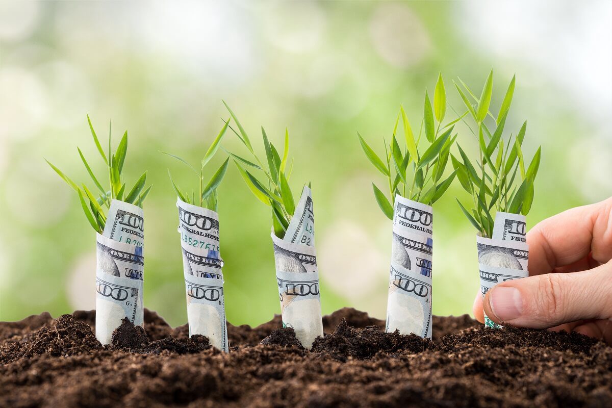 La economía «verde» crece lentamente pero aumenta cada vez más la oferta