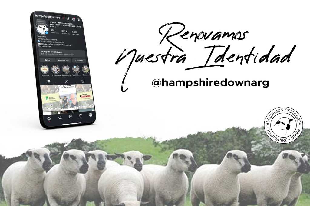 La Asociación Criadores de Hampshire Down renueva su Instagram para conectar con sus socios y seguidores