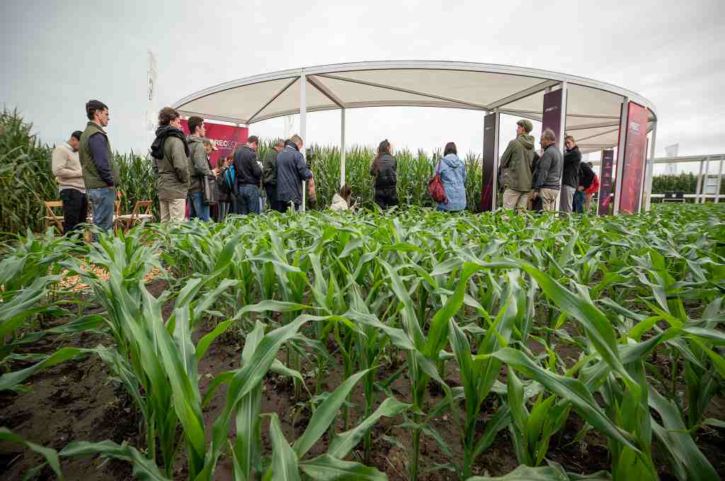 Expoagro 2025: Bayer presentó las soluciones integradas para maximizar el rendimiento de cada Hectárea