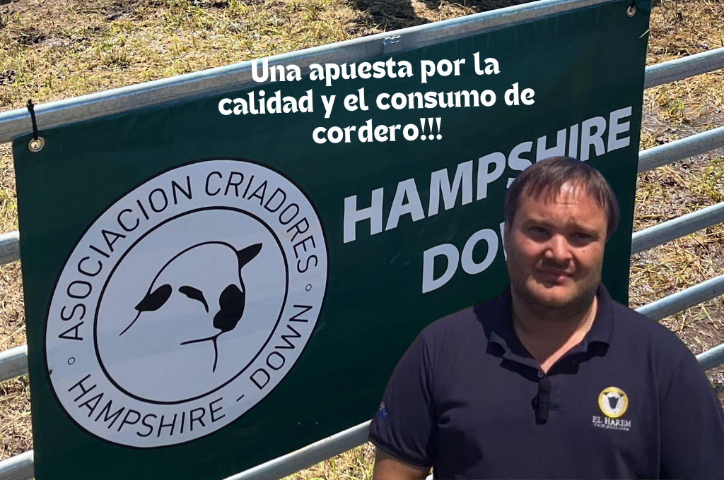 Hampshire Down en Expoagro 2025: una apuesta por la calidad y el consumo de cordero