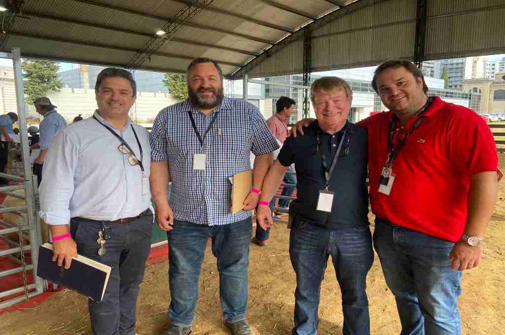 Los Hampshire Down rumbo al Congreso Mundial 2026 tras exitoso curso de jurados