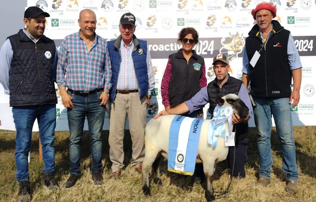 Embanderados en lana y carne, los ovinos revolucionan AgroActiva en Armstrong