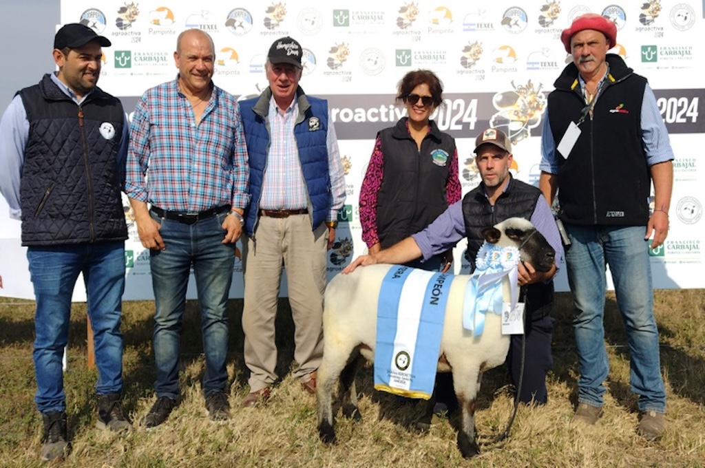 Embanderados en lana y carne, los ovinos revolucionan AgroActiva en Armstrong