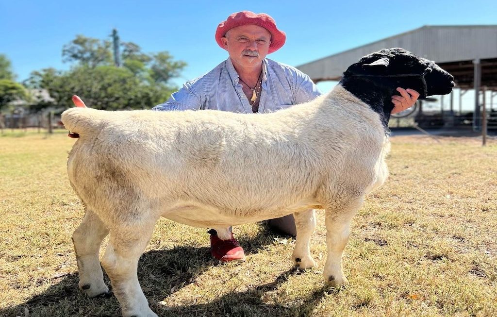 El hombre que respira campo: Pablo Sorasio, médico veterinario, productor ovino y alma de la ganadería en Agroactiva