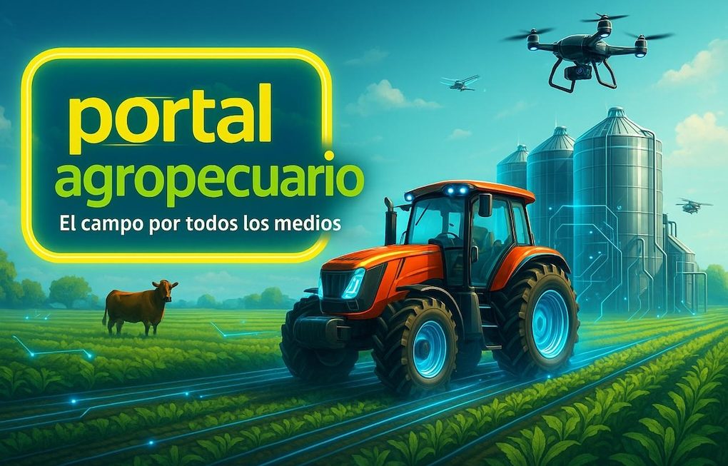 Noticias Diarias 13 de mayo