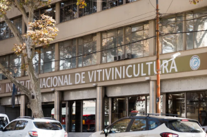 Justicia frena la reestructuración del Instituto de Vitivinicultura