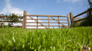 Caída del InCAIR en septiembre: el mercado rural sintió el clima electoral