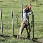 El RENATRE solicitó extender el régimen que compatibiliza el trabajo rural temporario con las prestaciones sociales