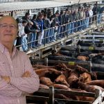 Alfredo Guarino: medio siglo de oficio, palabra y madrugadas en el mercado ganadero