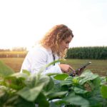 La digitalización redefine la rentabilidad del agro: Agrospot impulsa un nuevo modelo comercial para productores y compradores