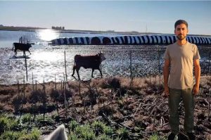 Cómo ser productor agropecuario y no morir en el intento