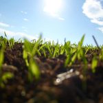 En el año récord de cosecha argentina de trigo, Profertil destaca la importancia de cuidar la tierra