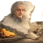 Balance 2025 y hoja de ruta 2026: la gestión de Entre Ríos que articula territorio, producción y cultura