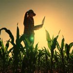 El campo entra en la era del dato