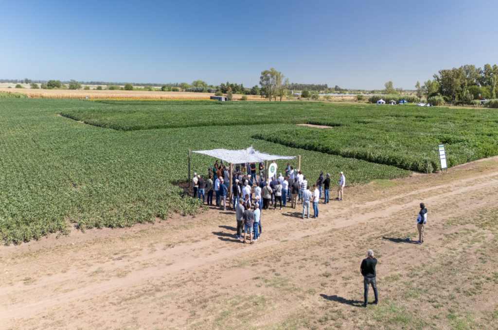 Expo PT Farm: una nueva propuesta técnica para validar tecnología a campo