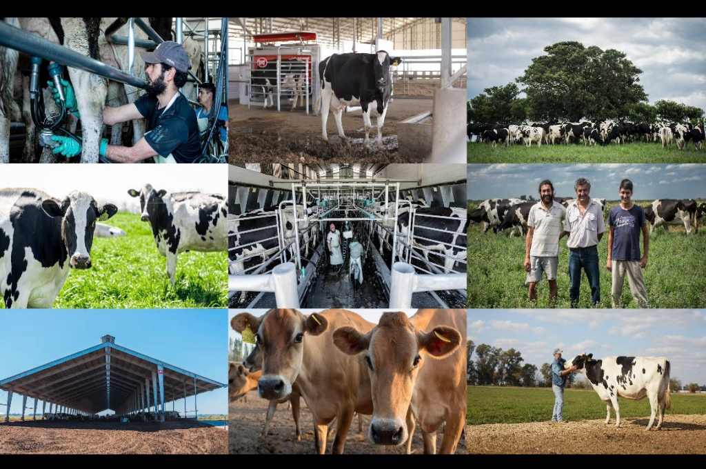 Mastellone Hnos. conmemora el Día del Tambero