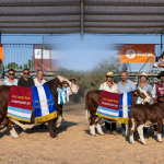 Braford mostró en Expoagro su potencial productivo y la expansión de su genética